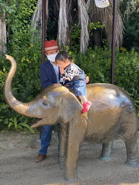 天王寺動物園に投稿された画像（2022/11/5）