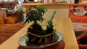 伊勢夫婦岩めおと横丁　めおと岩アクティビティに投稿された画像（2022/11/5）