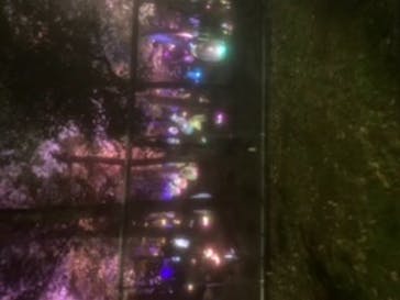 チームラボどんぐりの森の呼応する生命に投稿された画像（2022/11/5）