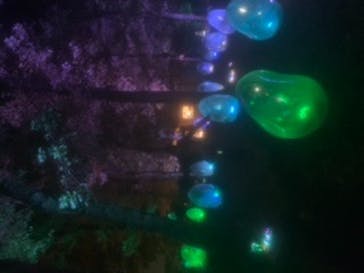 チームラボどんぐりの森の呼応する生命に投稿された画像（2022/11/5）