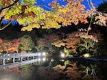 国営昭和記念公園 秋の夜散歩に投稿された画像（2022/11/5）