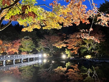 国営昭和記念公園 秋の夜散歩に投稿された画像（2022/11/5）