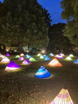 国営昭和記念公園 秋の夜散歩に投稿された画像（2022/11/5）