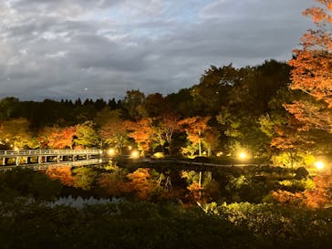国営昭和記念公園 秋の夜散歩に投稿された画像（2022/11/5）