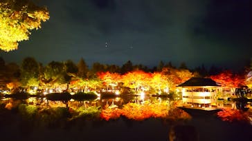 国営昭和記念公園 秋の夜散歩に投稿された画像（2022/11/5）