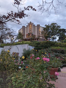 西武園ゆうえんちに投稿された画像（2022/11/5）