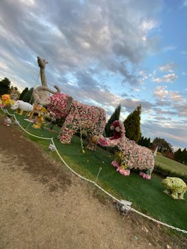 東武動物公園に投稿された画像（2022/11/5）