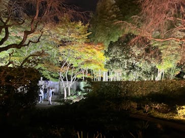 国営昭和記念公園 秋の夜散歩に投稿された画像（2022/11/5）