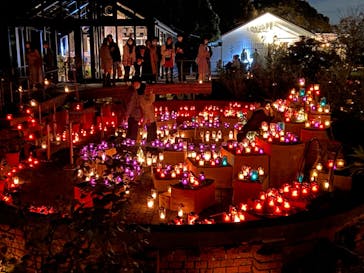 江の島シーキャンドルに投稿された画像（2022/11/5）