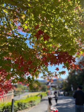 日本モンキーパークに投稿された画像（2022/11/5）