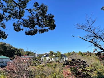 日本モンキーパークに投稿された画像（2022/11/5）