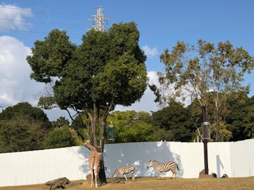 よこはま動物園ズーラシアに投稿された画像（2022/11/5）