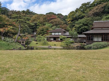 三溪園に投稿された画像（2022/11/5）