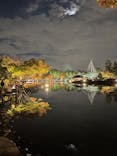 国営昭和記念公園 秋の夜散歩に投稿された画像（2022/11/5）
