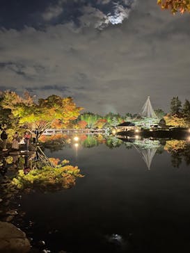 国営昭和記念公園 秋の夜散歩に投稿された画像（2022/11/5）