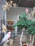 天王寺動物園に投稿された画像（2022/11/5）