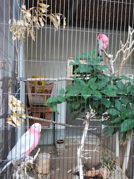 天王寺動物園に投稿された画像（2022/11/5）