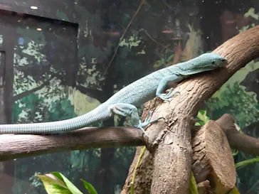 天王寺動物園に投稿された画像（2022/11/5）