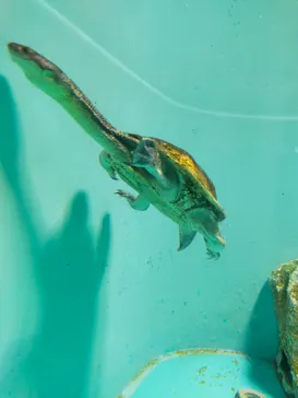 天王寺動物園に投稿された画像（2022/11/5）