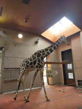 天王寺動物園に投稿された画像（2022/11/5）