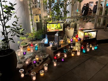 江の島シーキャンドルに投稿された画像（2022/11/5）