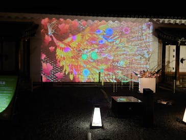 NAKED FLOWERS 2022 秋 世界遺産・二条城に投稿された画像（2022/11/5）