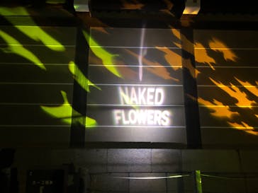 NAKED FLOWERS 2022 秋 世界遺産・二条城に投稿された画像（2022/11/5）