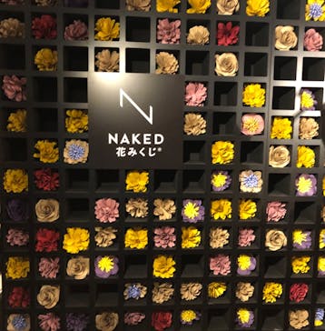 NAKED FLOWERS 2022 秋 世界遺産・二条城に投稿された画像（2022/11/5）
