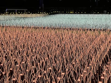 東京メガイルミに投稿された画像（2022/11/5）