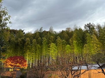 国営昭和記念公園 秋の夜散歩に投稿された画像（2022/11/5）