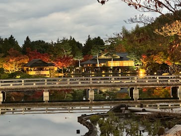 国営昭和記念公園 秋の夜散歩に投稿された画像（2022/11/5）