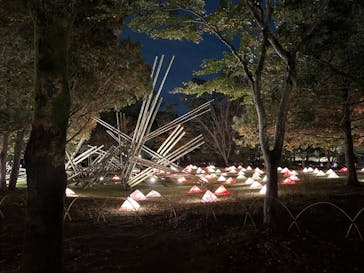 国営昭和記念公園 秋の夜散歩に投稿された画像（2022/11/5）