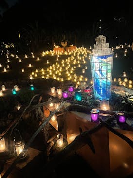 江の島シーキャンドルに投稿された画像（2022/11/5）