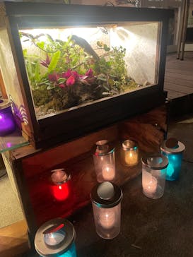 江の島シーキャンドルに投稿された画像（2022/11/5）