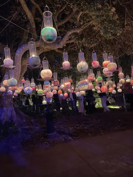 江の島シーキャンドルに投稿された画像（2022/11/5）