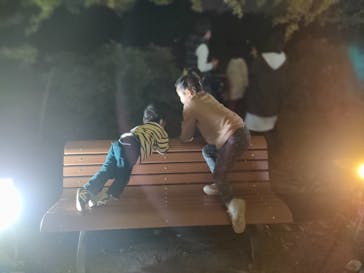 国営昭和記念公園 秋の夜散歩に投稿された画像（2022/11/5）