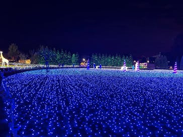 東武動物公園に投稿された画像（2022/11/5）