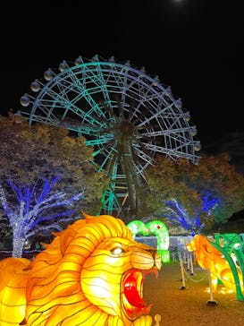 東武動物公園に投稿された画像（2022/11/5）