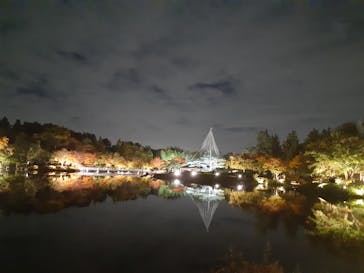 国営昭和記念公園 秋の夜散歩に投稿された画像（2022/11/5）