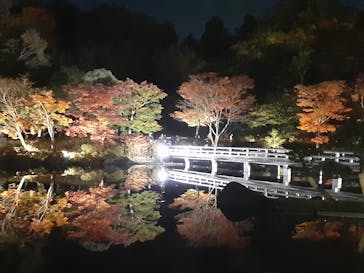 国営昭和記念公園 秋の夜散歩に投稿された画像（2022/11/5）