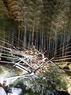 国営昭和記念公園 秋の夜散歩に投稿された画像（2022/11/5）