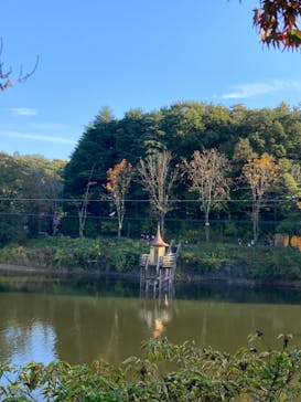 ムーミンバレーパークに投稿された画像（2022/11/5）