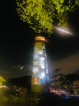 ムーミンバレーパークに投稿された画像（2022/11/5）