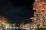 国営昭和記念公園 秋の夜散歩に投稿された画像（2022/11/6）