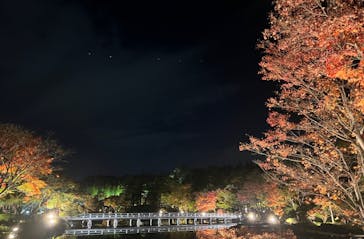 国営昭和記念公園 秋の夜散歩に投稿された画像（2022/11/5）