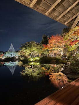 国営昭和記念公園 秋の夜散歩に投稿された画像（2022/11/5）