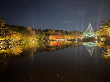 国営昭和記念公園 秋の夜散歩に投稿された画像（2022/11/5）
