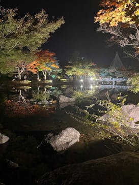 国営昭和記念公園 秋の夜散歩に投稿された画像（2022/11/5）