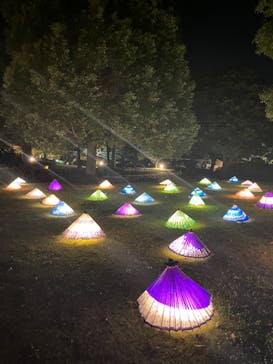 国営昭和記念公園 秋の夜散歩に投稿された画像（2022/11/5）