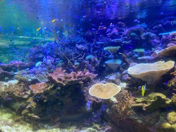 名古屋港水族館に投稿された画像（2022/11/5）